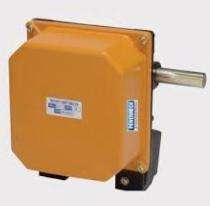 10 A Limit Switches Geared Rotary_0