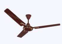 Cinni Standard 1200 mm 3 Blades 65 W Chocolate Brown Ceiling Fans_0