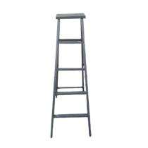 12 ft 100 kg Ladders Mild Steel_0