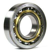 SKF Ball Bearings Stainless Steel_0