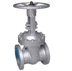 DN 65 mm Manual Gate Valves_0