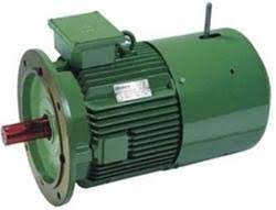 Hindustan Three Phase 425 hp Flange Mounted AC Motors_1