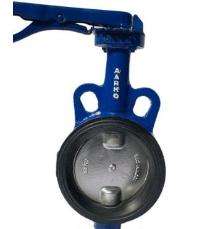 Aarko 2.5 inch Manual CI Butterfly Valves Flanged PN 10_0