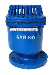 Aarko Cast Iron Flanged End Foot Control Valves_0