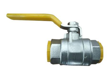 Manual SS Ball Valves 0.25 inch PN 10_0