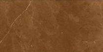 Q7 Ceramic 1007_DK 300 x 600 mm Brown Glossy Ceramic Tile_0