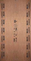 CENTURYPLY 12 mm Waterproof and Anti-Termite Plywood 2440 x 1220 mm_0