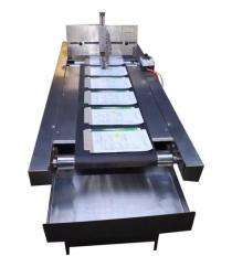 Automatic Horizontal Conveyor Machine_0