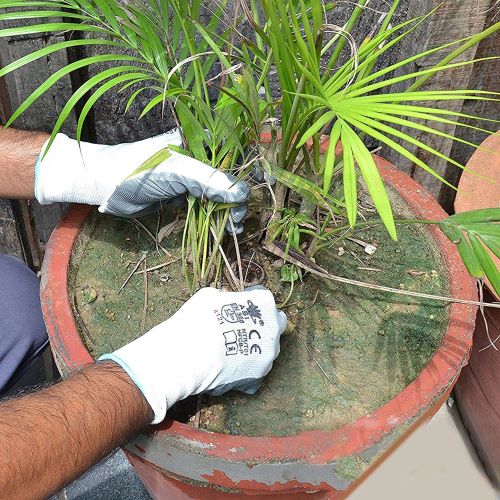 MASTERSHIP High Performance Polyethylene Latex Safety Gloves Palm Coated L_4