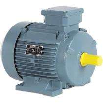 Havells 0.37 kW Worm Gear Motor_0