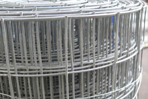 Welded Wire Mesh Galvanized Iron_1
