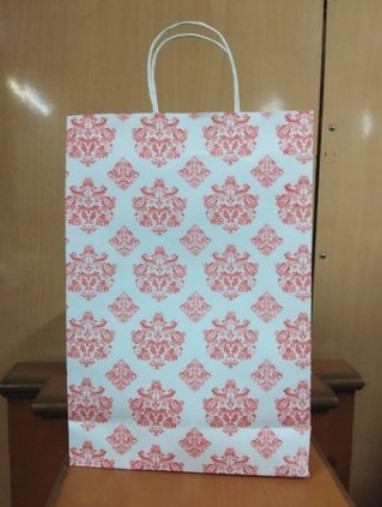 Printed Paper Bag 5 Kg Multicolour_3