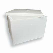 Buy Online Thermocol Ice Box at best prices.
