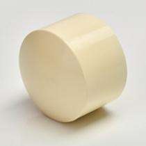 Astral 50 mm CPVC Pipe Fitting End Cap_0