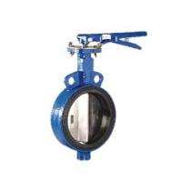 Kirloskar 40 - 600 mm Manual and Electric Cast Iron Butterfly Valve Centric Disc_0