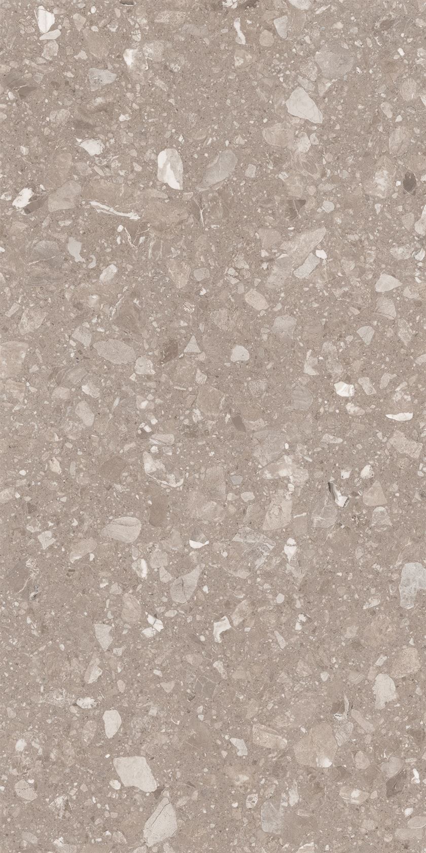 Lioli Ceramica Tera Flakes 1200 x 2400 mm Beige Rustic Matt Terrazzo Tile_0