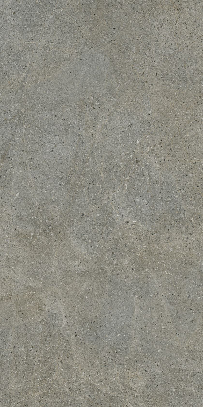 Lioli Ceramica Cemento Flakes 1200 x 2400 mm Grey Rustic Matt Terrazzo Tile_0