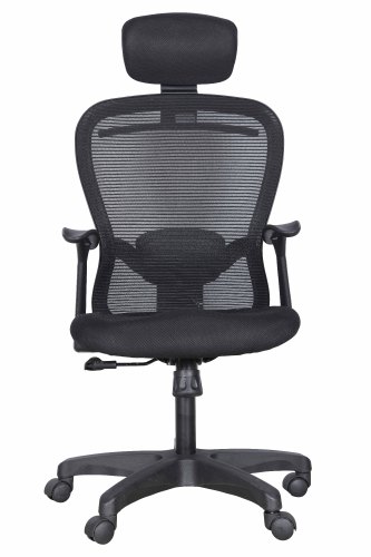 Radian Executive Black Upto 1225 x 600 x 645 mm Office Chairs_1