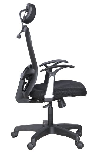 Radian Executive Black Upto 1225 x 600 x 645 mm Office Chairs_2