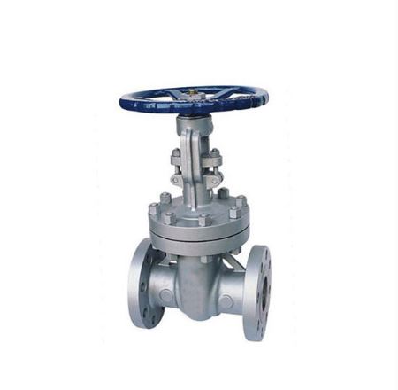 DN 65 mm Manual Gate Valves_0