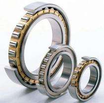 Roller Bearings Cylindrical Stainless Steel_0