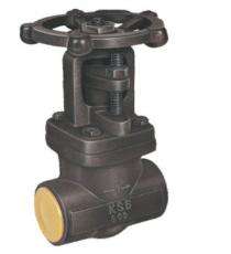 15 -50 mm Manual SS Gate Valves Flanged_0