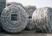 GURUKRUPA Barbed Wire Type A (Iowa Type) 2_1