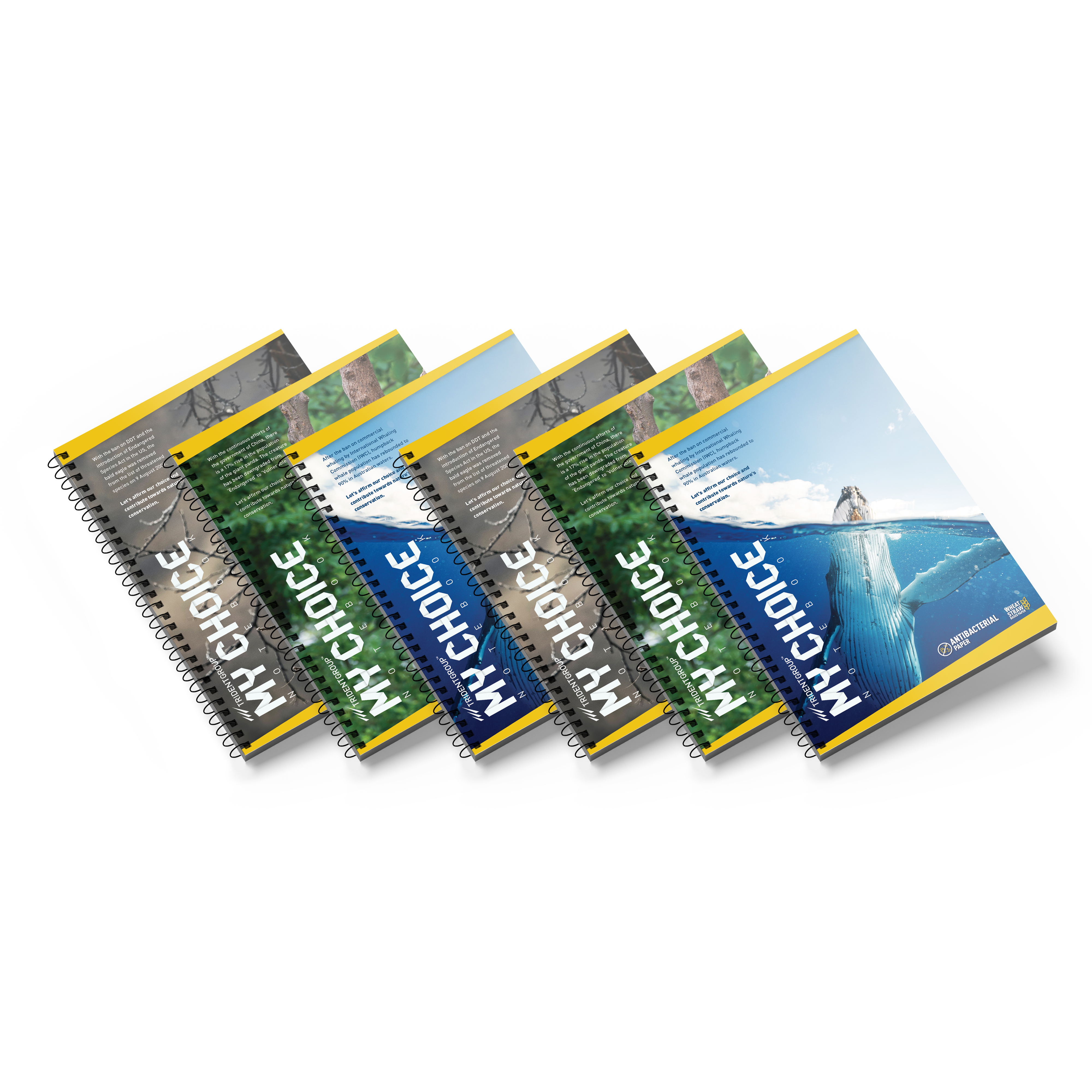 TRIDENT 200 Pages Writing Notebooks 210 x 297 mm_4