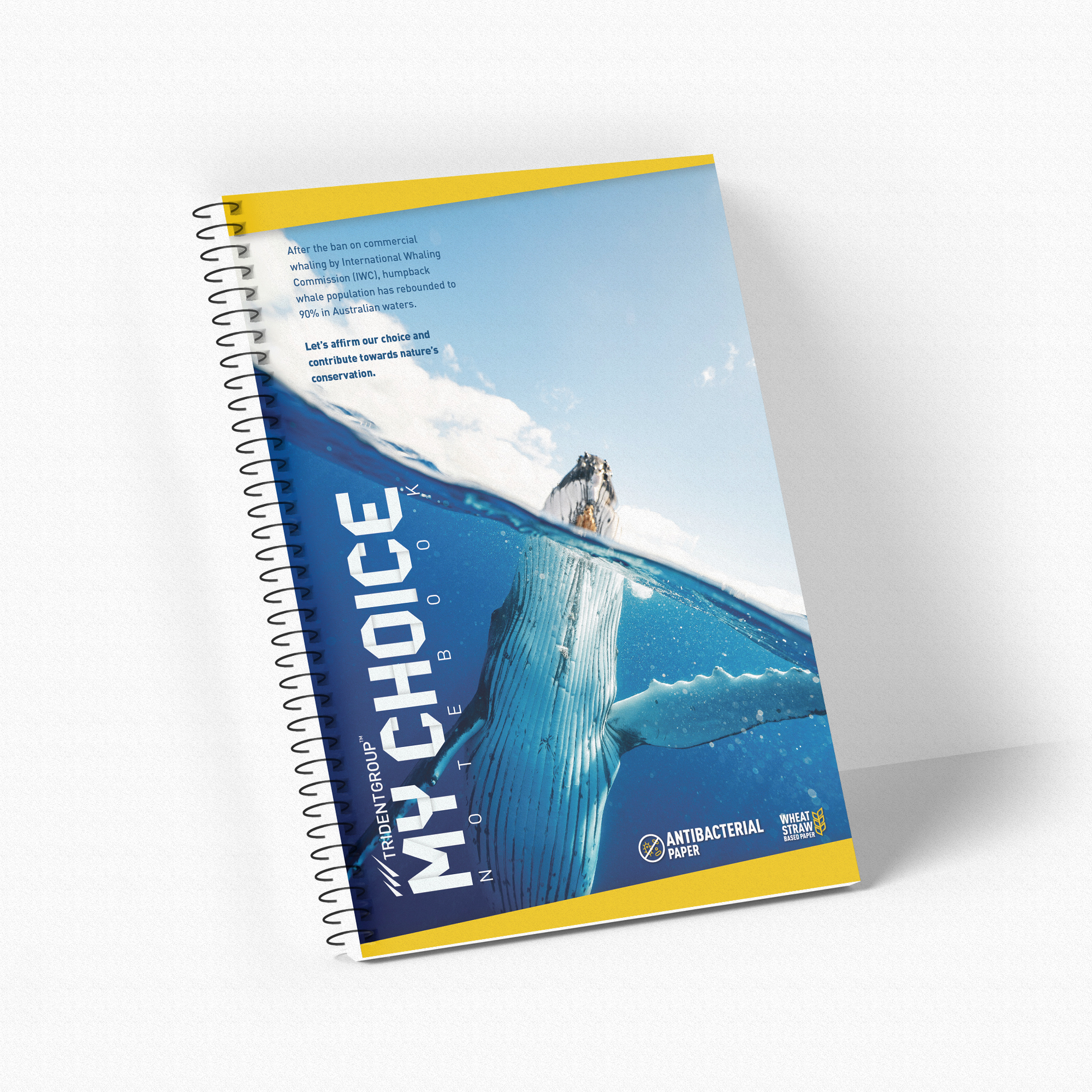 TRIDENT 200 Pages Writing Notebooks 210 x 297 mm_1