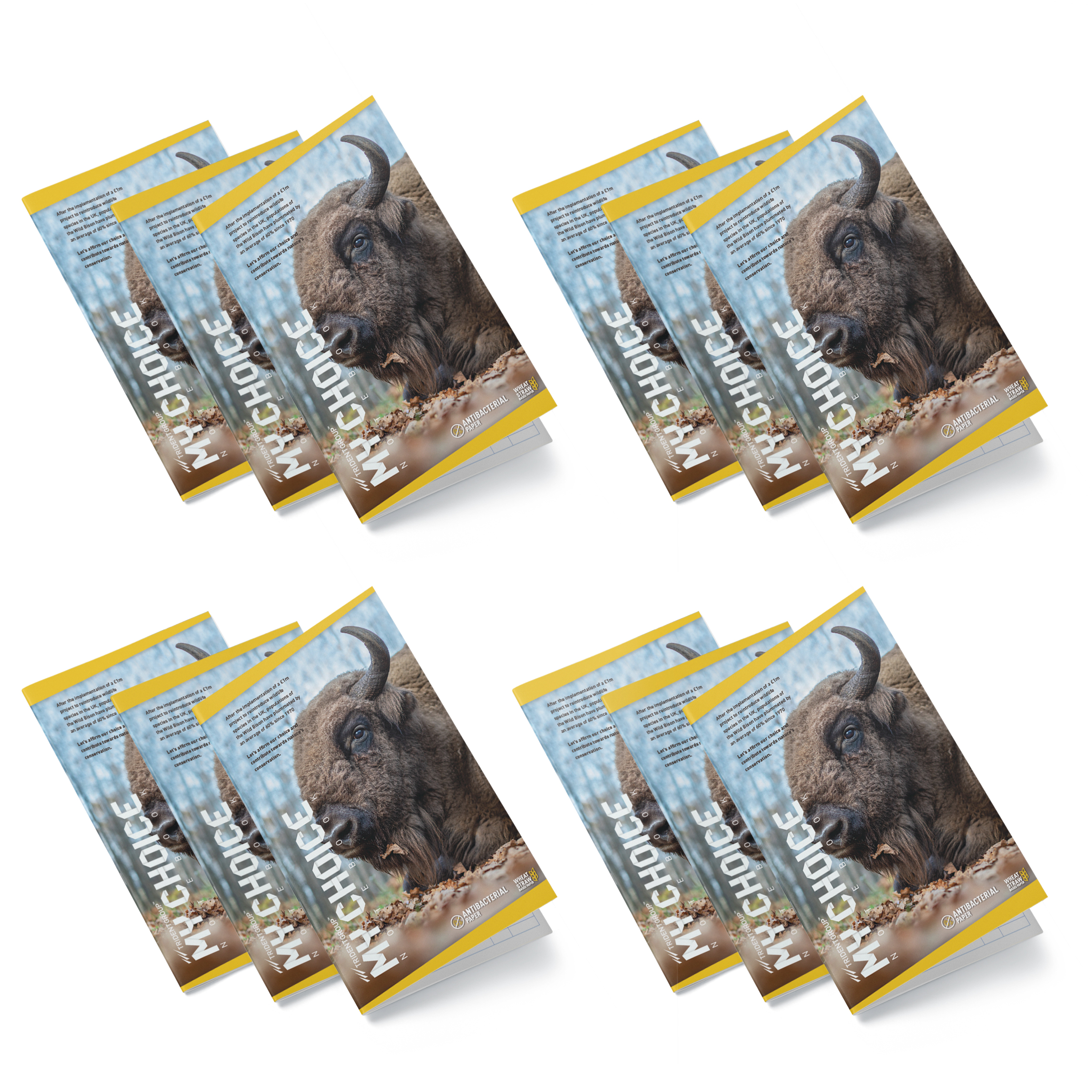 TRIDENT 72 Pages Long Notebooks 270 x 170 mm_4