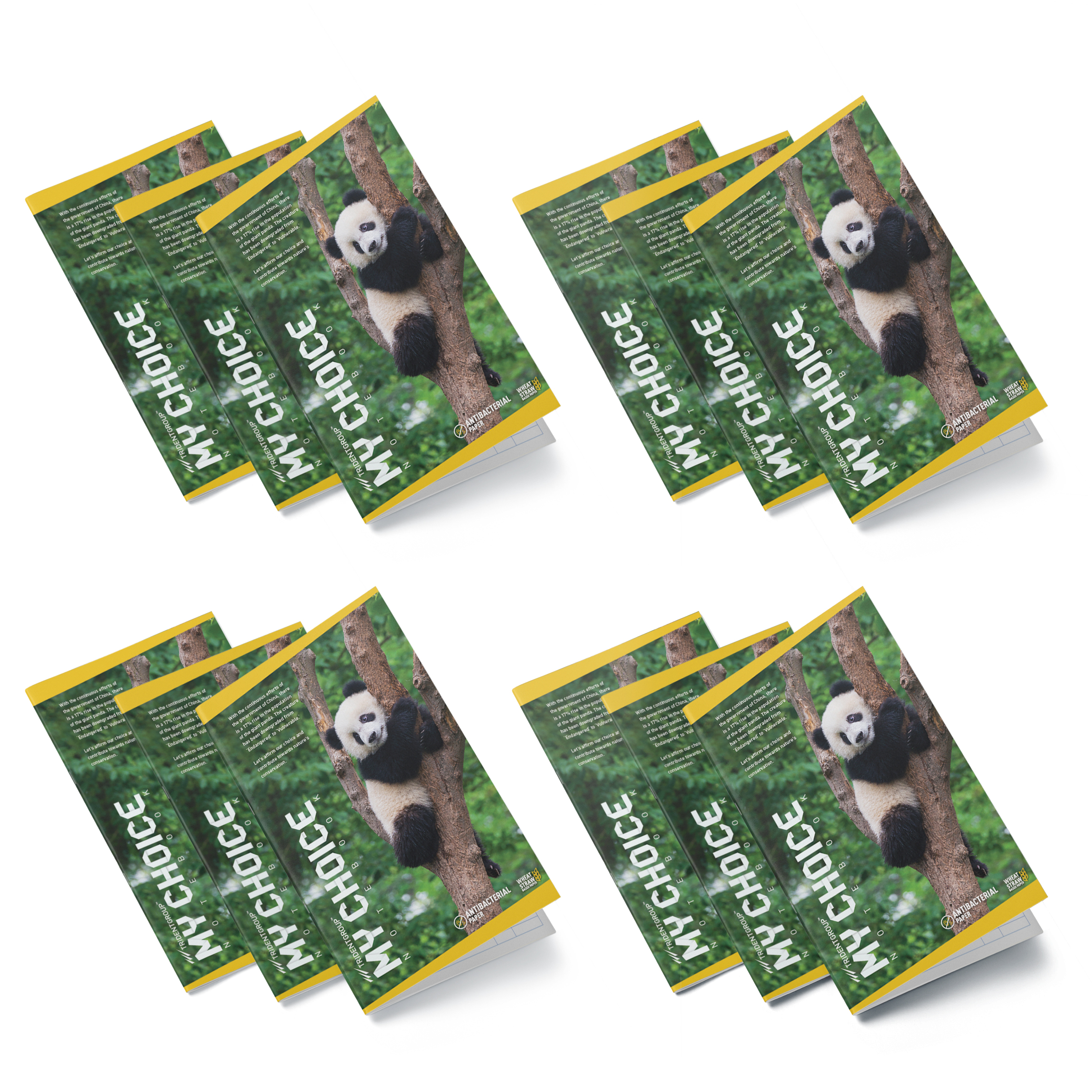 TRIDENT 172 Pages Long Notebooks 270 x 170 mm_4