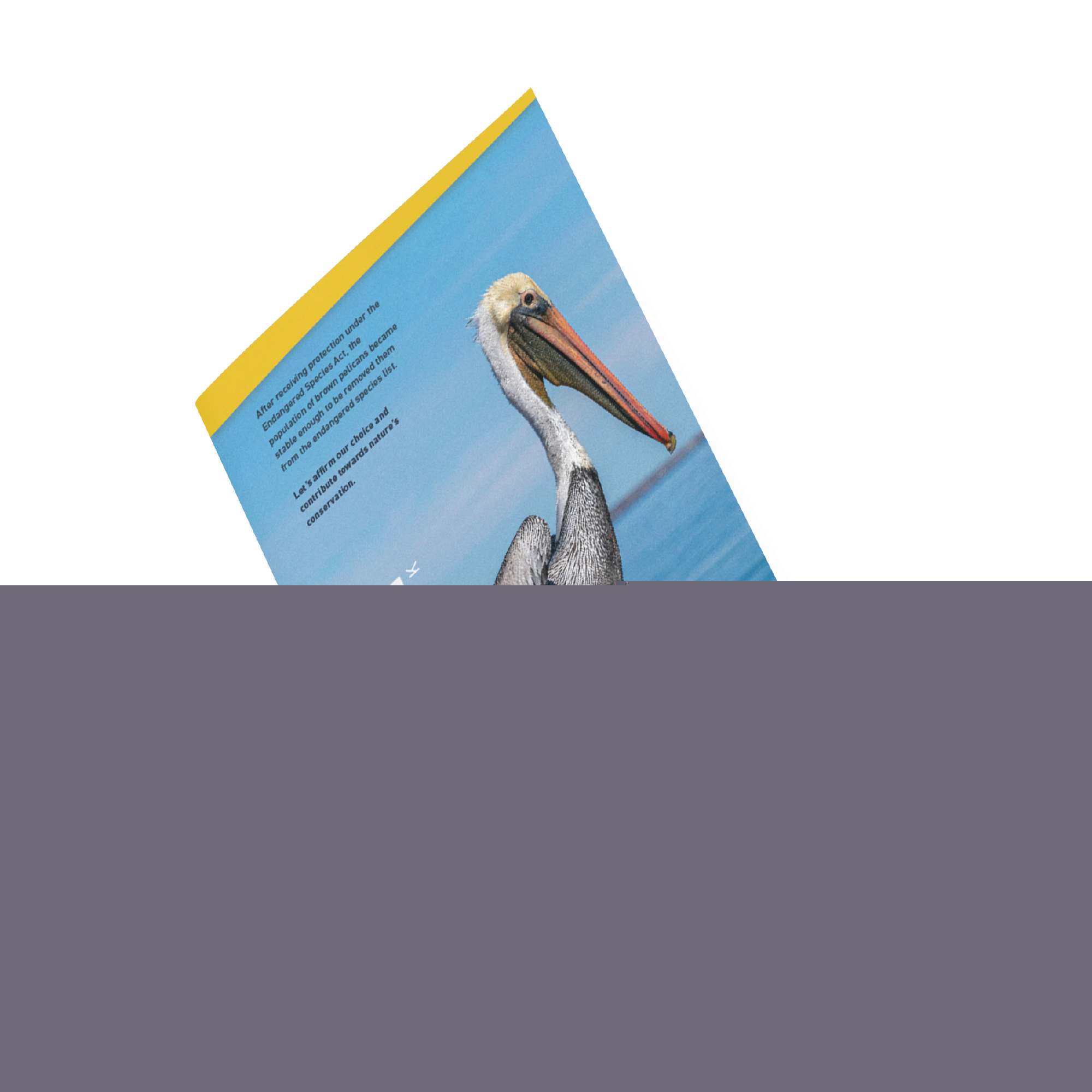 TRIDENT 192 Pages Long Notebooks 270 x 170 mm_1