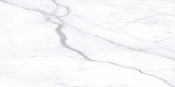 Buy Italica Carara Silk 600 x 1200 mm Silk Polished Porcelain Tile ...