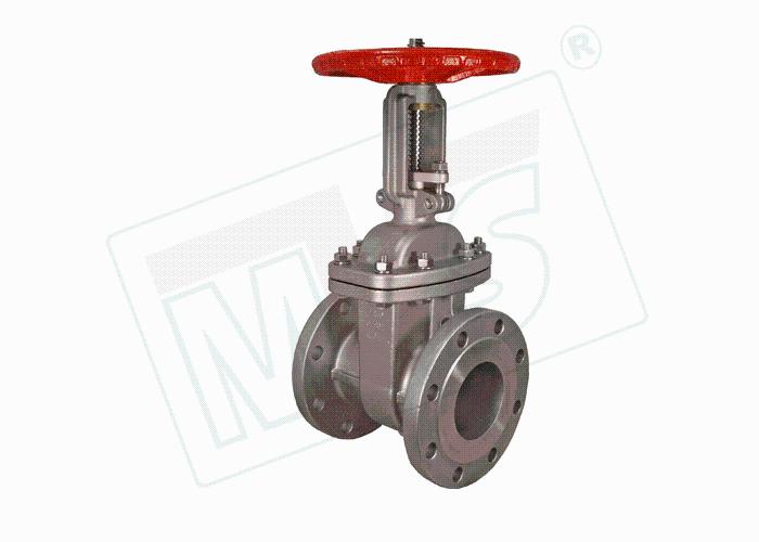 MVS 15 mm to 1000 mm Manual SS Gate Valves Flanged 150 Class_1