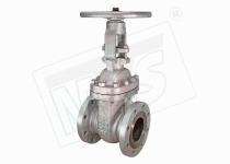MVS 15 mm to 1000 mm Manual SS Gate Valves Flanged 150 Class_0