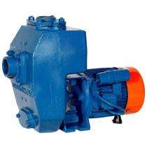 Kirloskar Pumba Puzha 0.5 hp 1400 rpm Monoblock Pumps_0