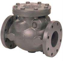 Manual CI Check Valves 4 inch Flanged_0