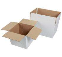 7 Ply 12 x 11 x 12 inch 20 kg White and Brown Corrugated Boxes_0
