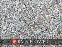 16 mm Bala Flower Granite Slab 1000 x 6500 sqmm Polished_0