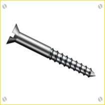 Ajanta Slotted Head Self Drilling Screw Stainless Steel Galvanized_0