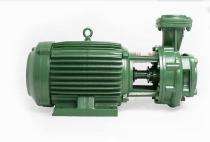 Taro 4 hp 2900 rpm Monoblock Pumps_0