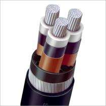 HAVELLS A2XFY 3 Core 300 sqmm 11 kV HT XLPE Cable_0