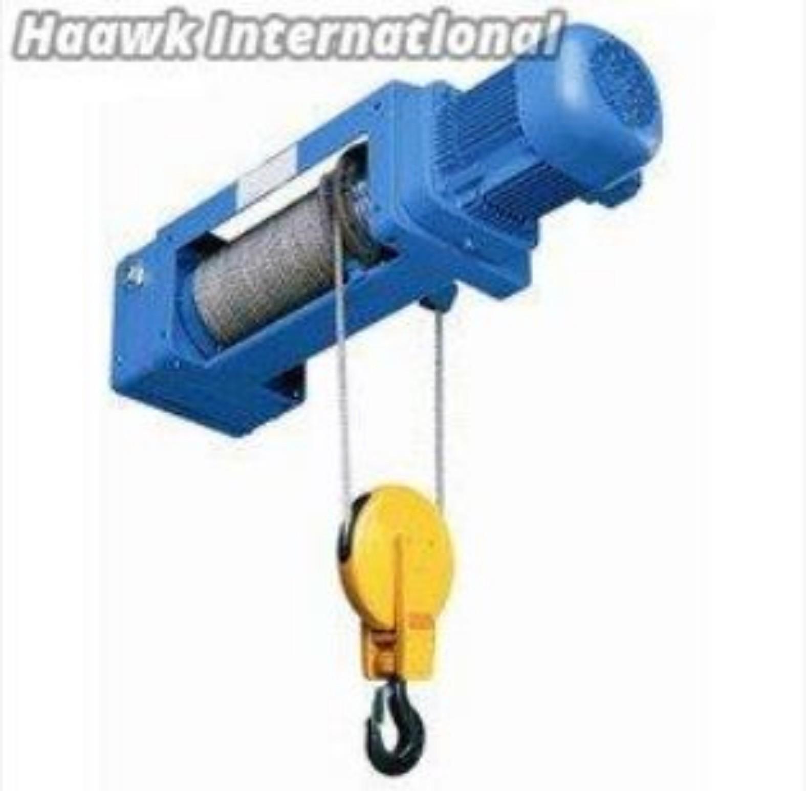 40 - 45 ton Fixed Electric Hoist_1