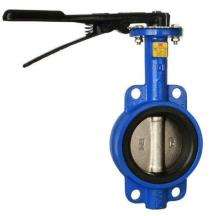 50 mm Hand Wheel DI Butterfly Valves_0