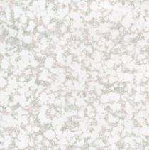 SHUBH INTERNATIONAL Rumble Blossom - L 600 x 600 mm White Glossy Ceramic Tile_0