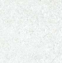 SHUBH INTERNATIONAL Lotus White - L 600 x 600 mm White Glossy Ceramic Tile_0