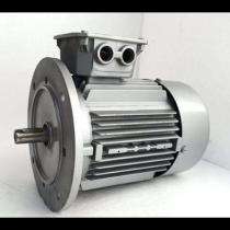 1500 rpm Three Phase 15 hp Double Pole Foot Mounted AC Motors_0