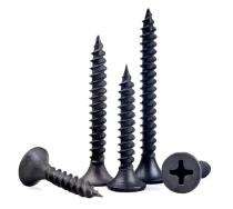 Flat M2 10 mm Self Tapping Screws Stainless Steel_0