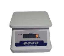 RAJA SCIENTIFIC TRADERS Table Top Electronic Weighing Scale 9 kg TD-01_0