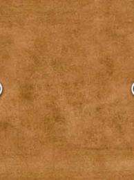 Uday Industries Zest Cement 300 x 300 mm Brown Glossy Ceramic Tile_0